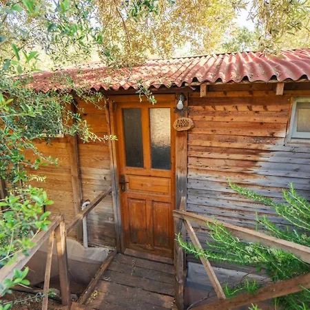 Shiva Camp Hotel Faralya Exterior photo