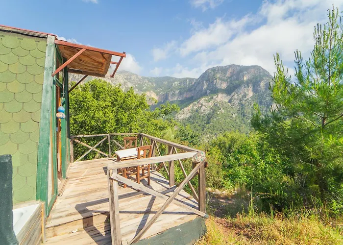 Shiva Camp