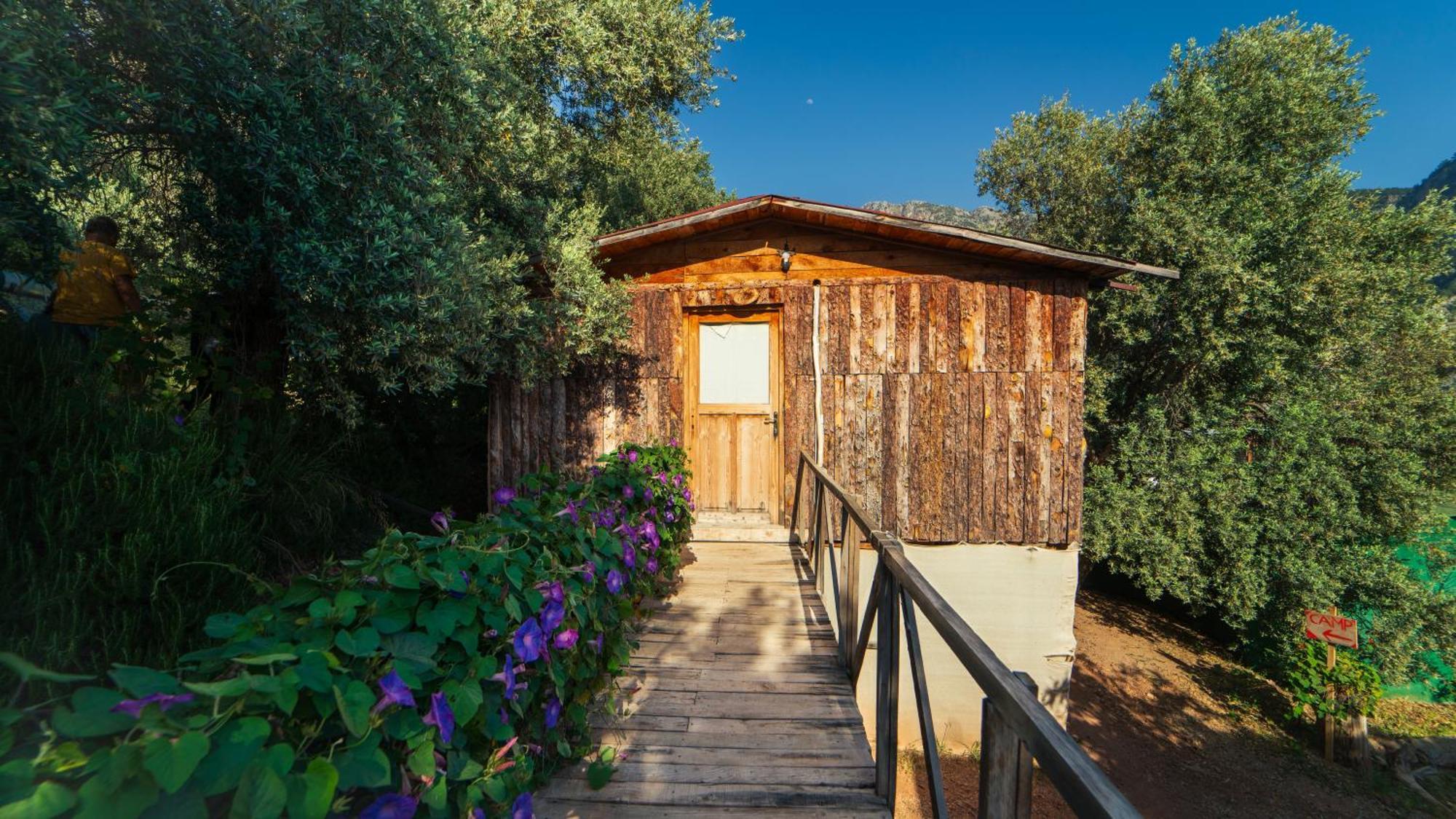 Shiva Camp Faralya