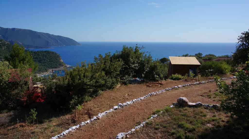 Shiva Camp 3* Faralya